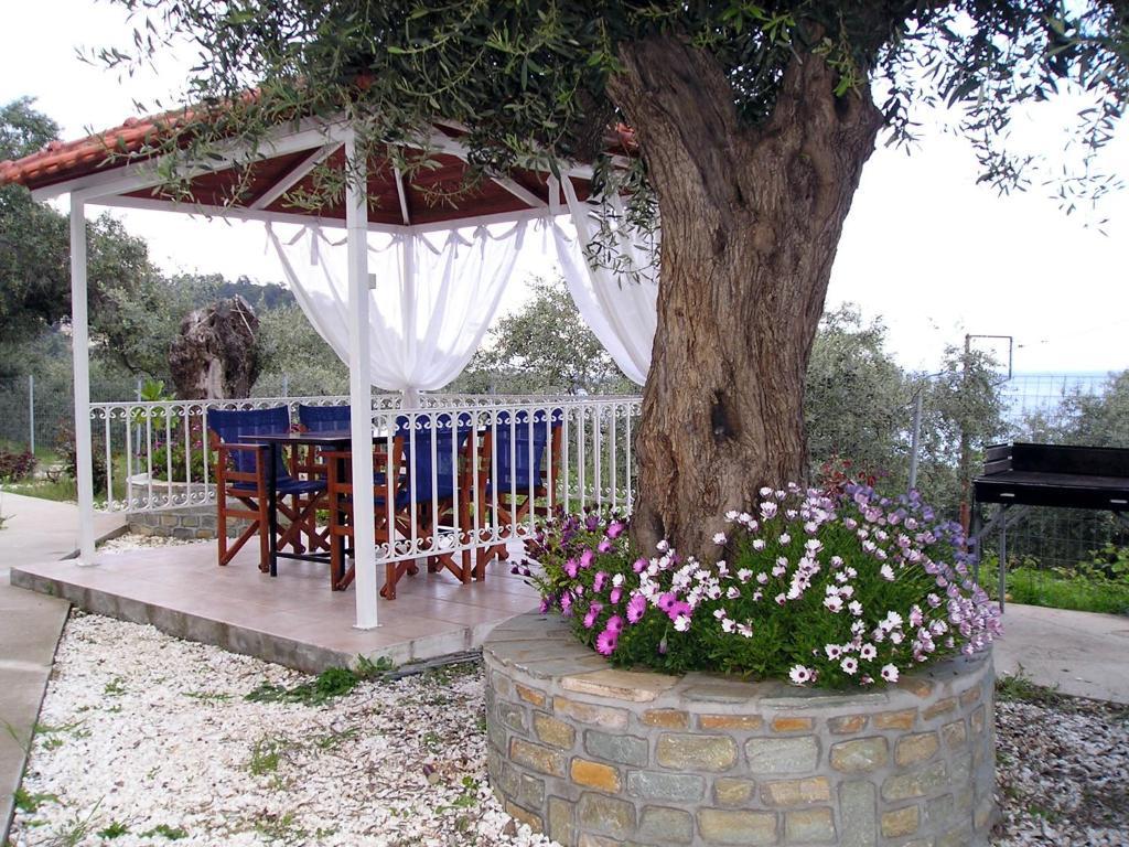 Golden Beach Inn Chrisi Ammoudia Rum bild